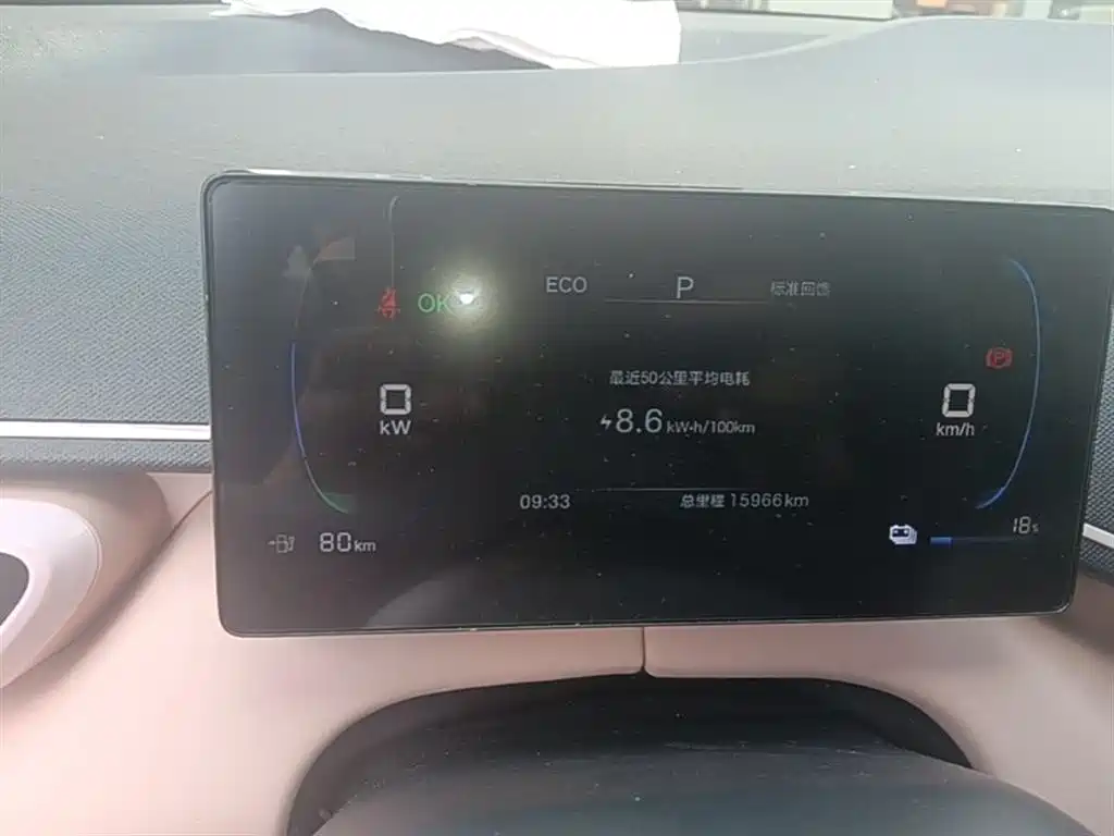BYD Seagull 2025 Smart Drive Edition 305km Vitality Version фото 12