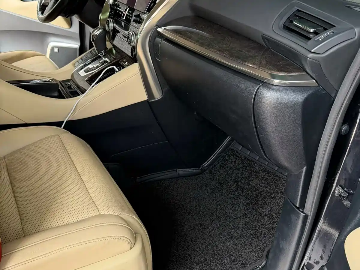 Фото 6 - Toyota Alphard
