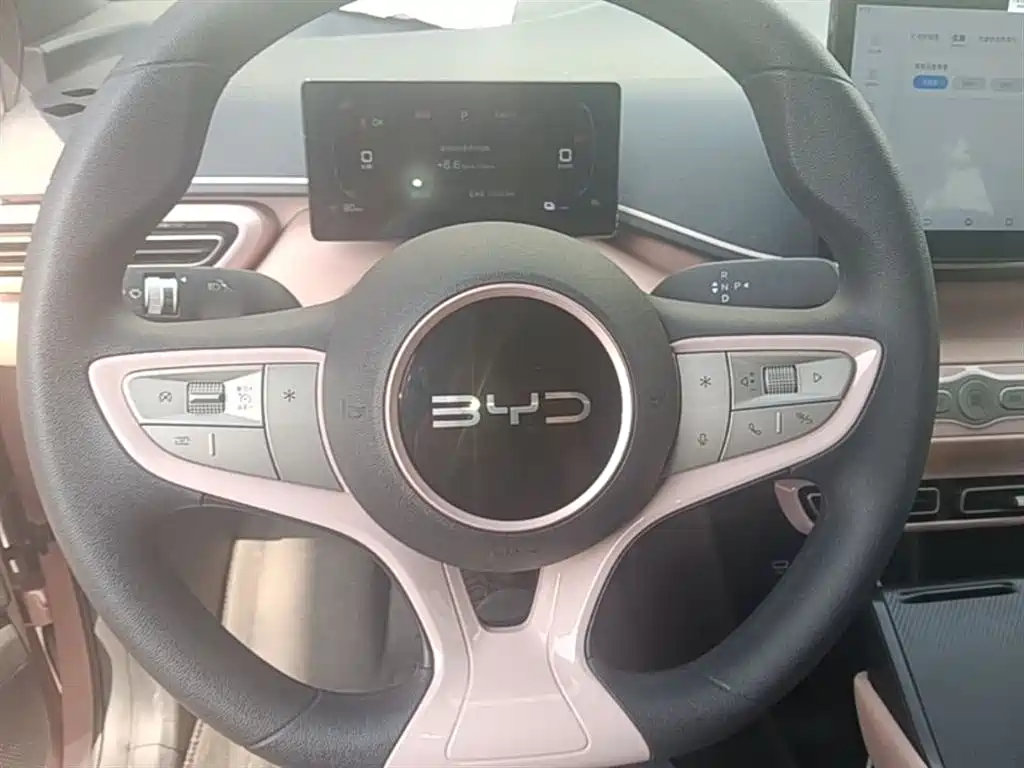 BYD Seagull 2025 Smart Drive Edition 305km Vitality Version фото 11