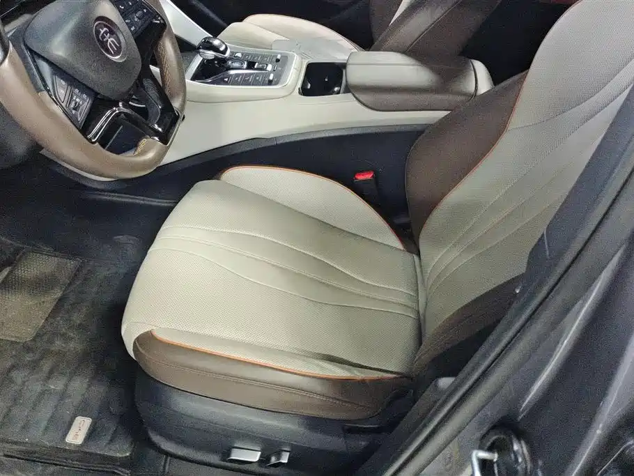 BYD Song Pro New Energy 2023 Champion Edition DM-i 110KM Excellence фото 9