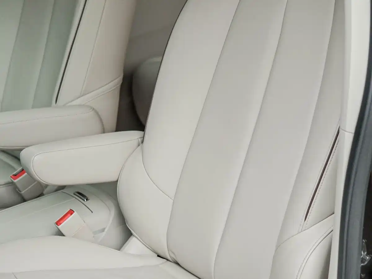 Buick GL8 2020 Model Land Business Class 652T Luxury фото 10
