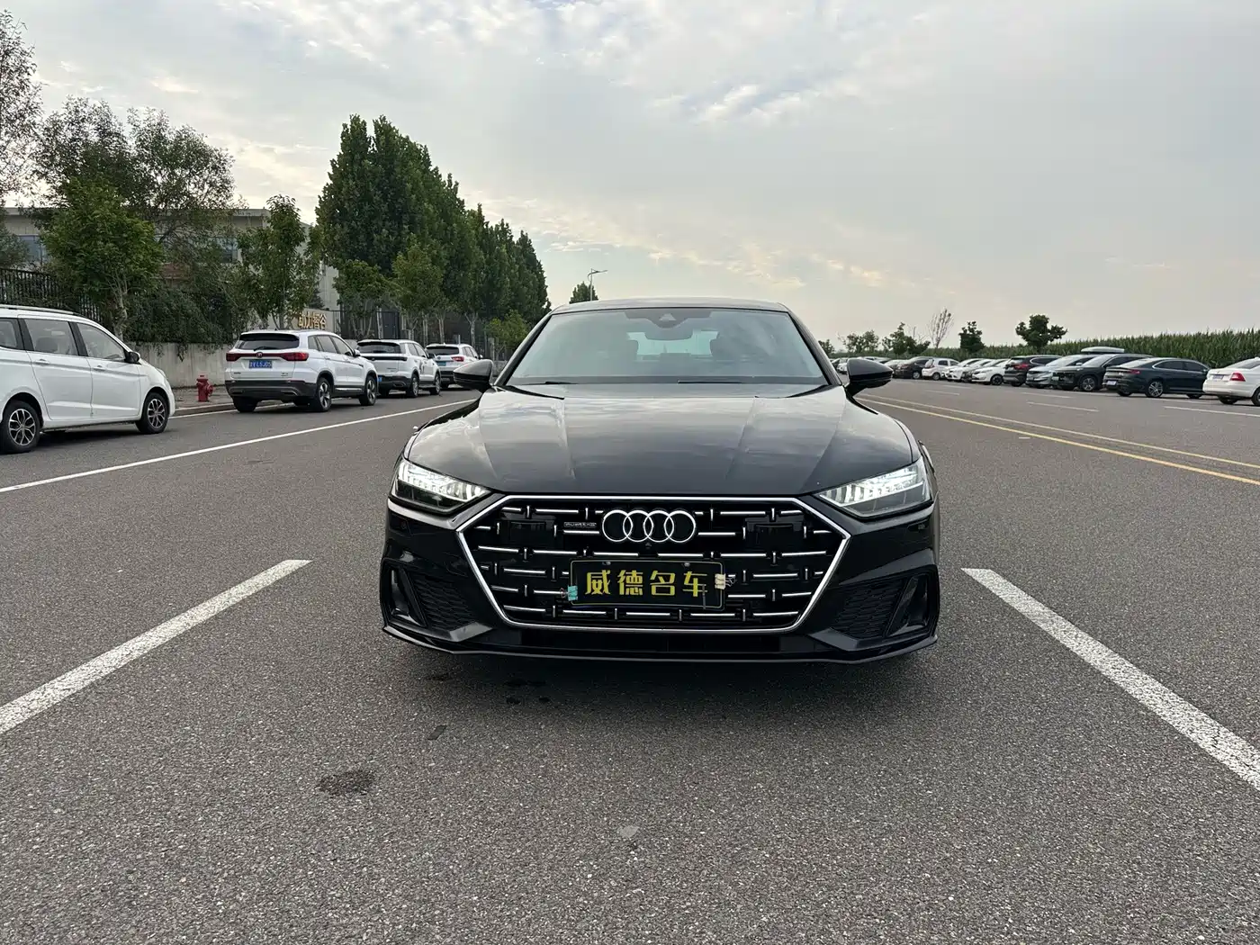 Audi A7L 2022 2022 45 TFSI quattro S-line Vision Crystal Package