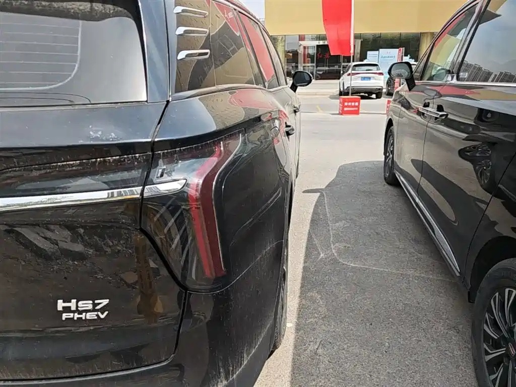 Hongqi HS7 PHEV 2024 2.0T PHEV 4WD Flagship Edition 6-seater фото 8
