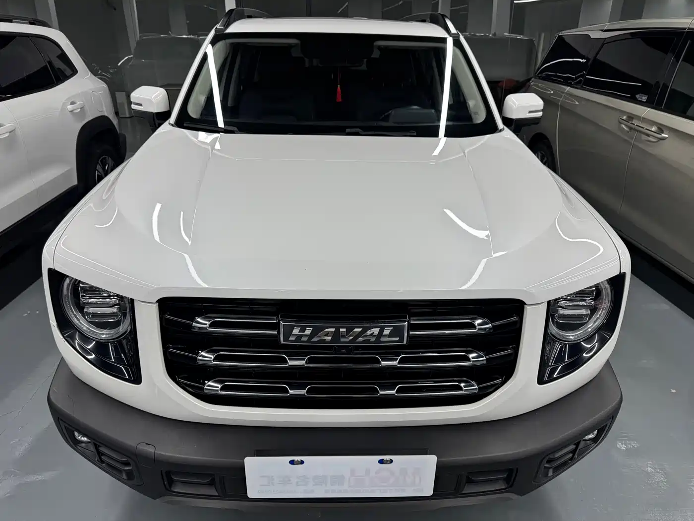Haval Big Dog 2021 1.5T DCT 2WD Labrador Edition