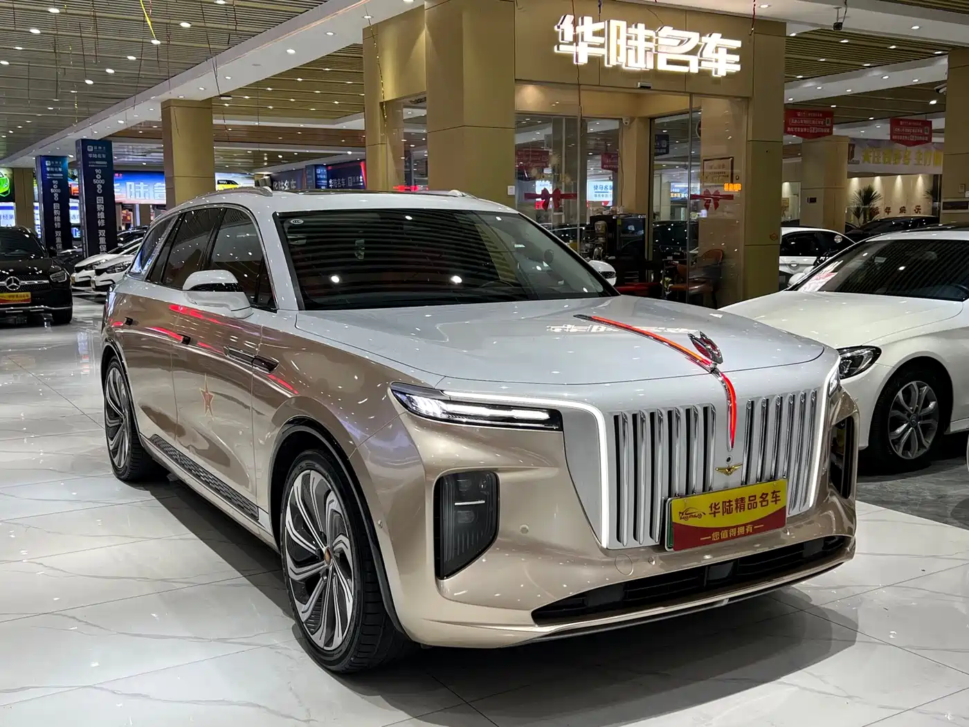 Hongqi HONGQI E HS9
