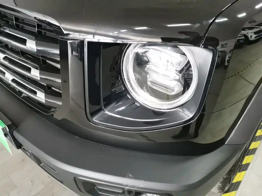Haval Big Dog 2022 1.5T DCT FWD Border Collie Edition фото 24