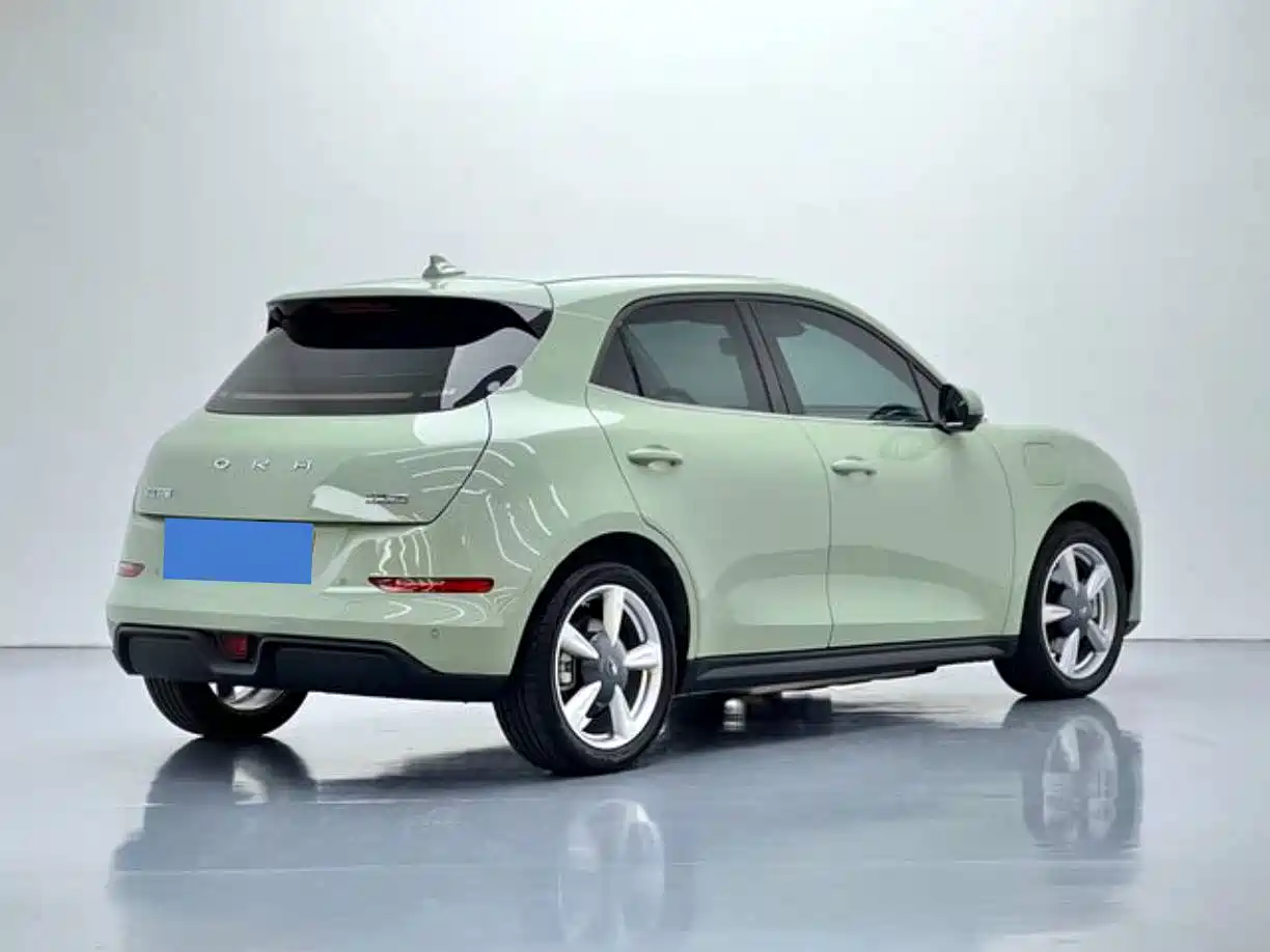 Ora Good Cat 2024 2023 401km Standard Range Luxury LFP