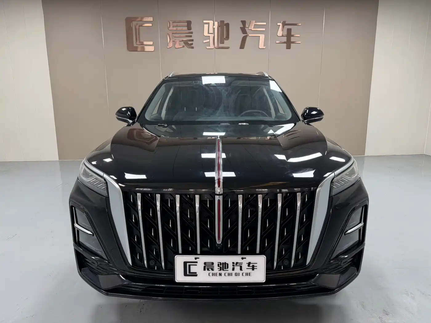 Hongqi HS5 2023 2.0T Flag Enjoy Pro Edition фото 2