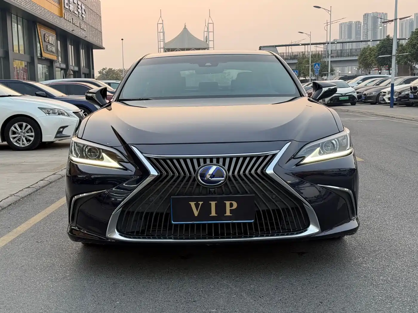 Lexus ES 2021 300h Excellence Edition фото 2