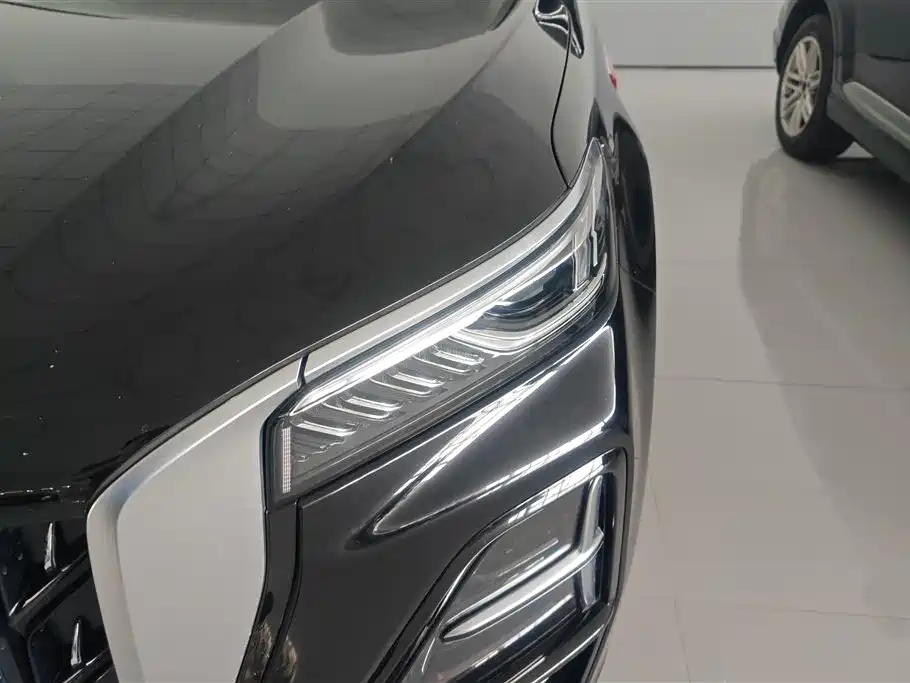 Hongqi HS5 2023 2.0T 4WD Flag Leader Pro фото 5