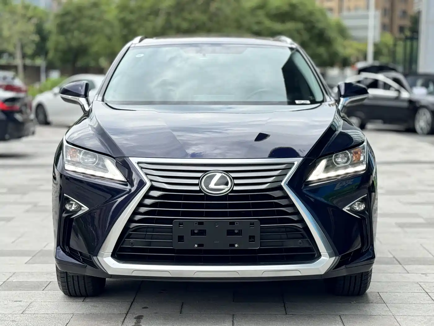 Lexus RX 2016 300 2WD Elite Edition (China V) фото 2