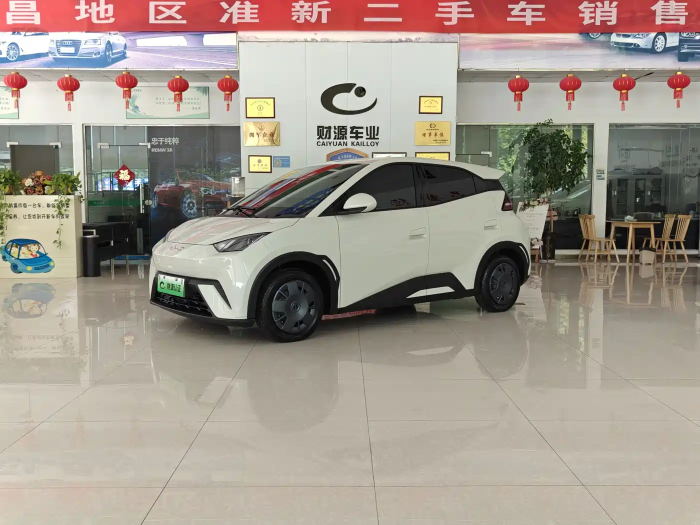 BYD Seagull 2024