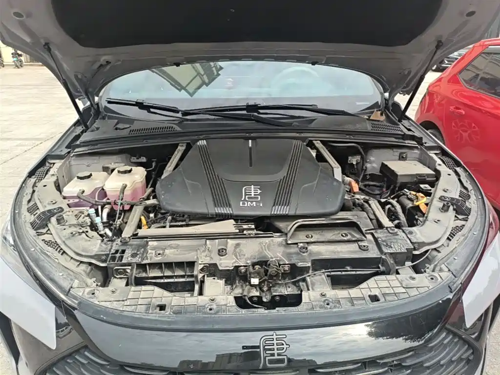 BYD Tang New Energy 2025 DM-i 115KM Flagship фото 20
