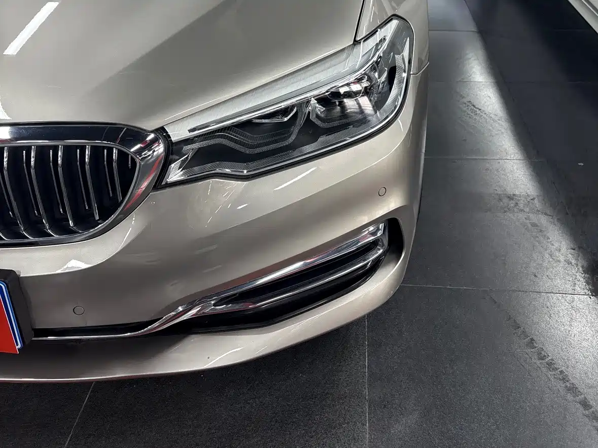 BMW 5 Series 2020 530Li xDrive Luxury Package фото 5