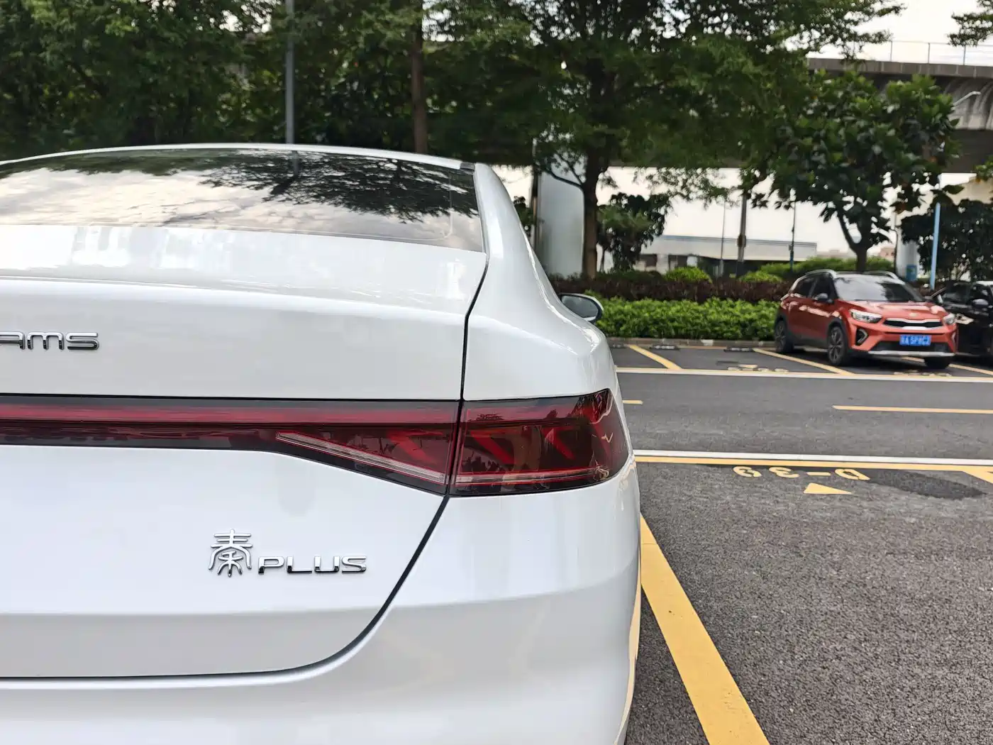 Фото 23 - BYD Qin PLUS