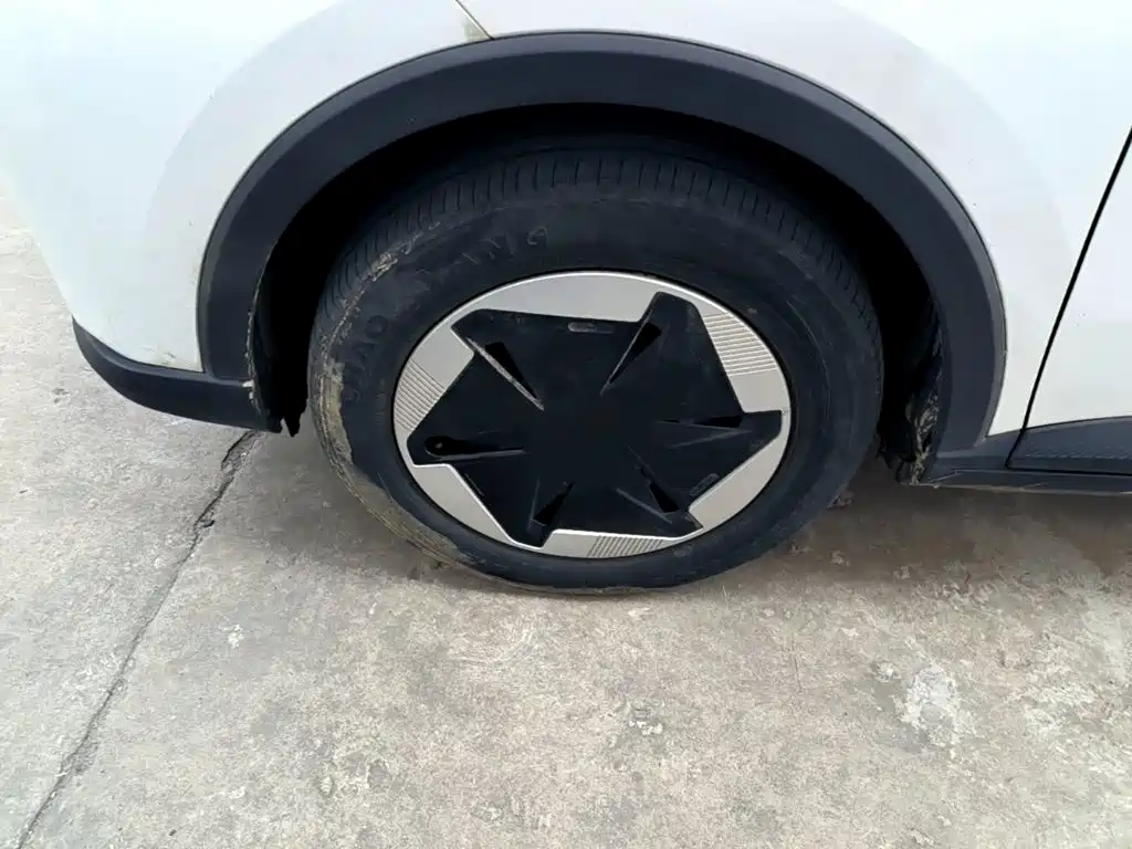 Geely Geometry E Firefly 2023 2024 Model 301km Light Flow