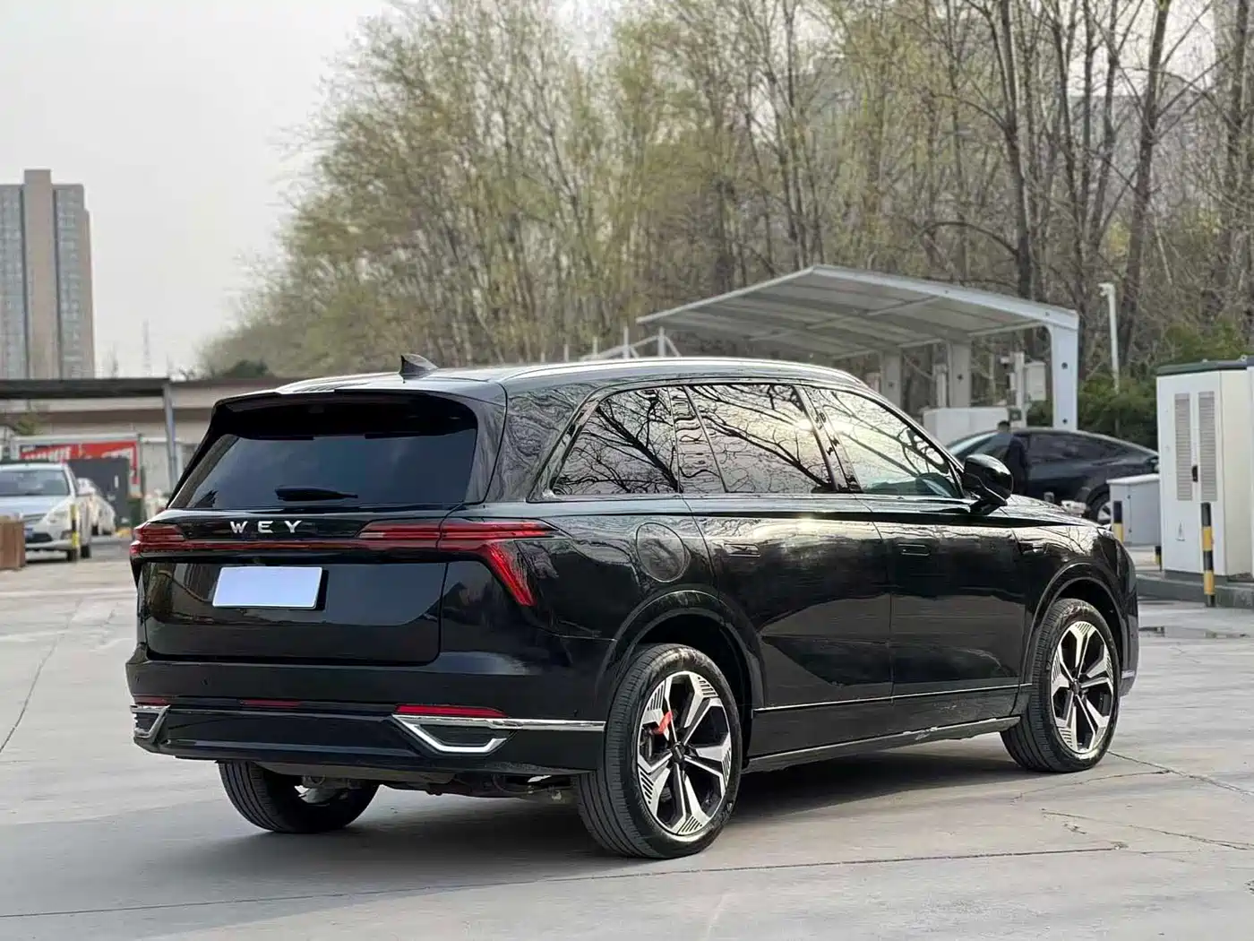 WEI PAI WEI BRAND BLUE MOUNTAIN