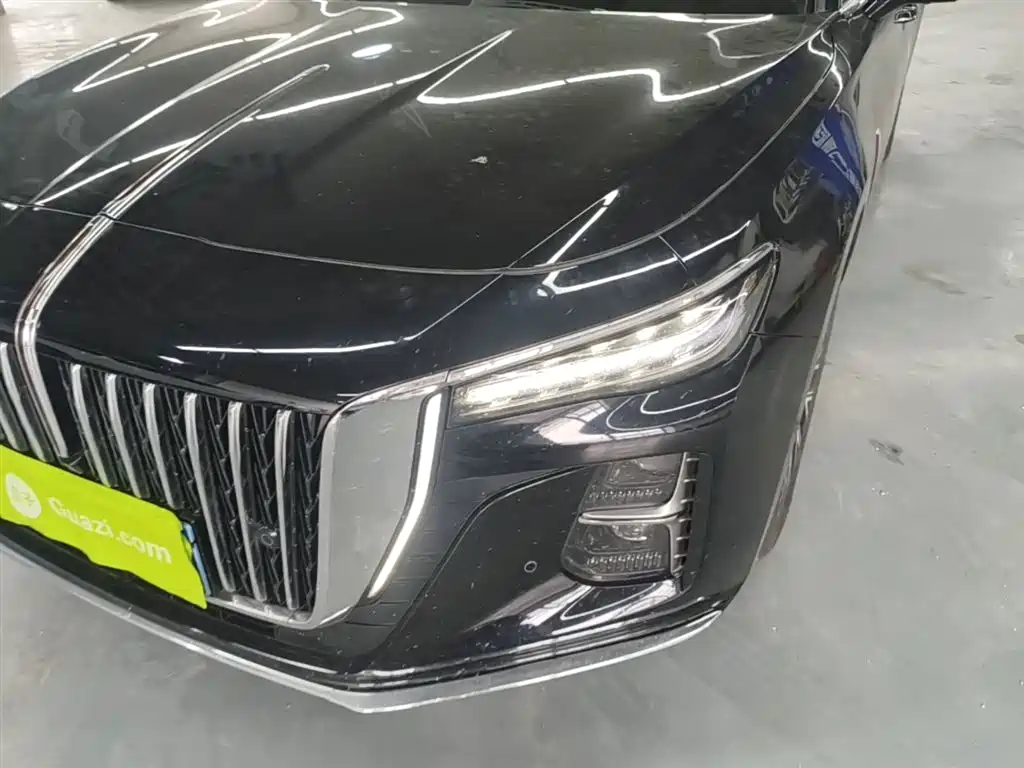 Hongqi H5 2024 2.0T Automatic Smart Connect Flag Smooth Edition фото 24