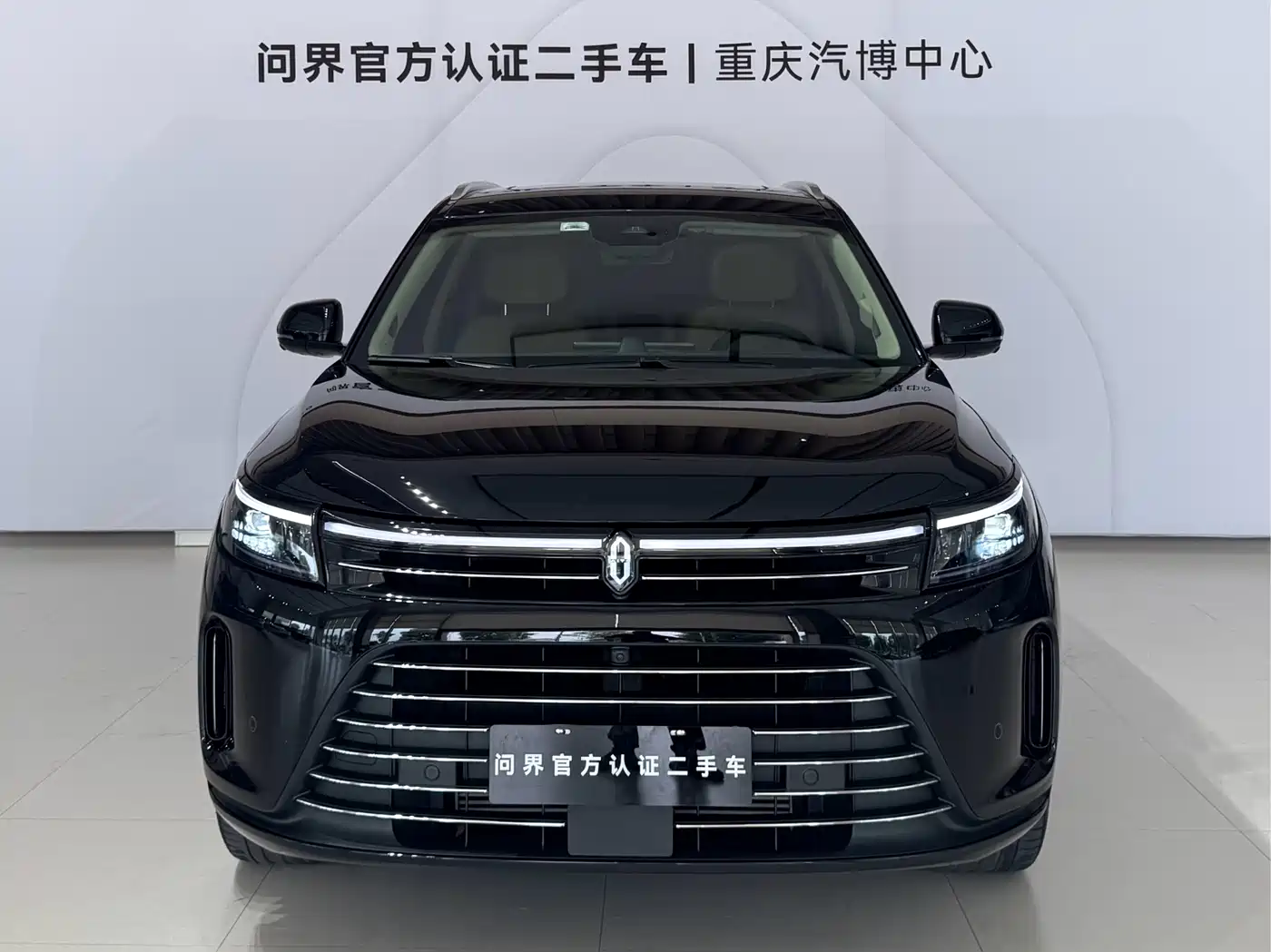 AITO Wenjie AITO M7 2022 1.5T AWD Luxury Edition фото 2