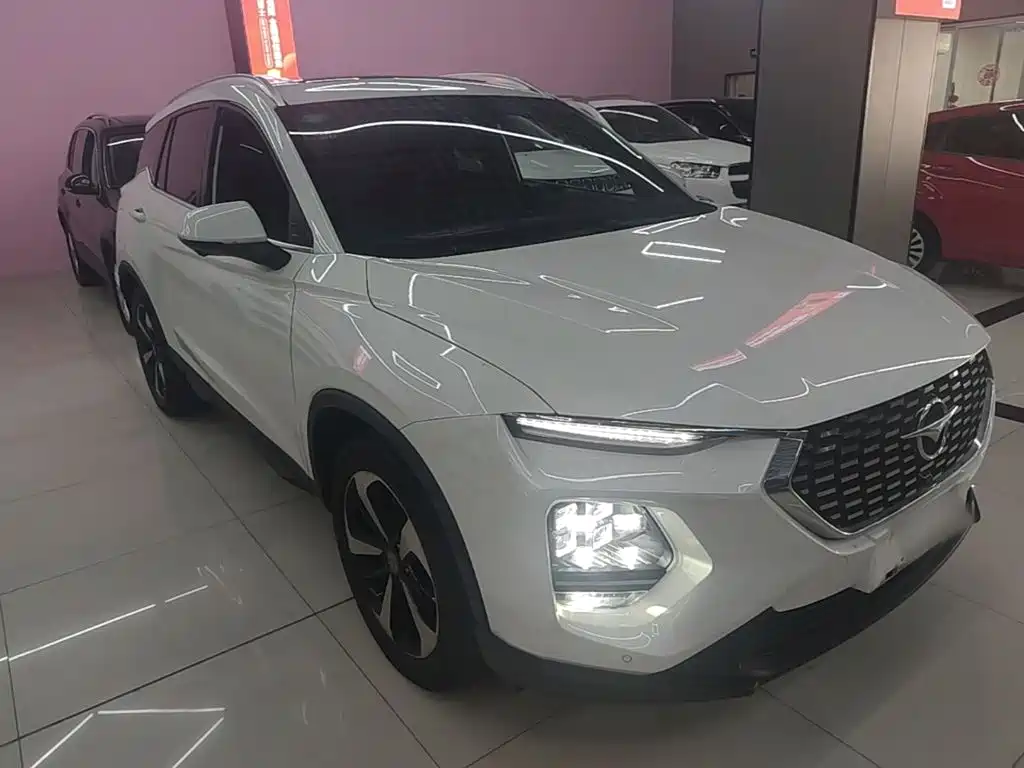 Фото 4 - Haima 8S