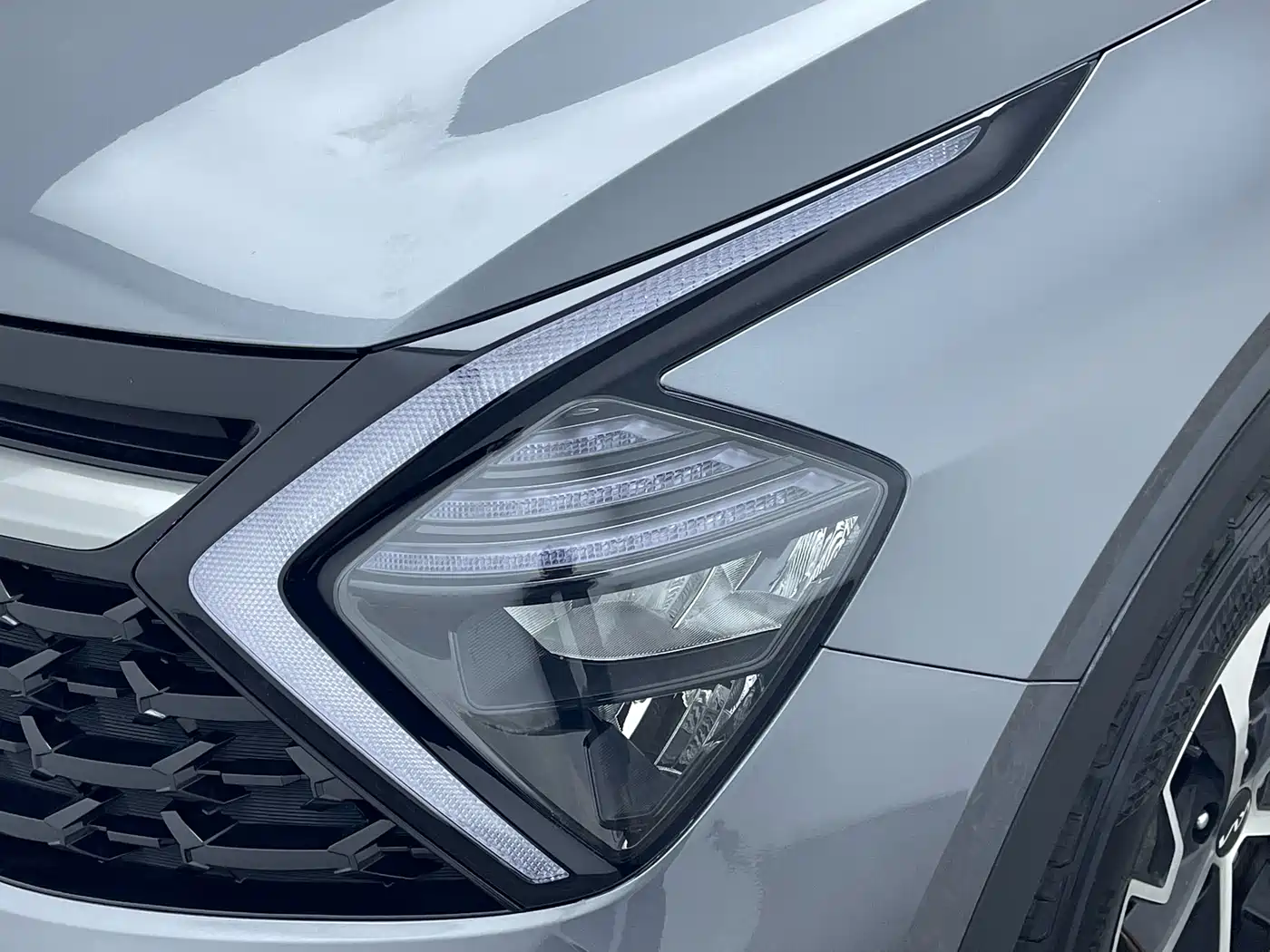 KIA LION PLATINUM EXPANDS THE WORLD