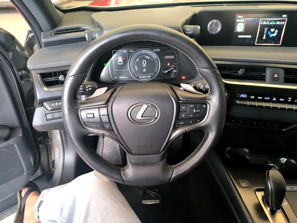 Lexus UX Electric 2022 2020 300e Pure Yue Edition