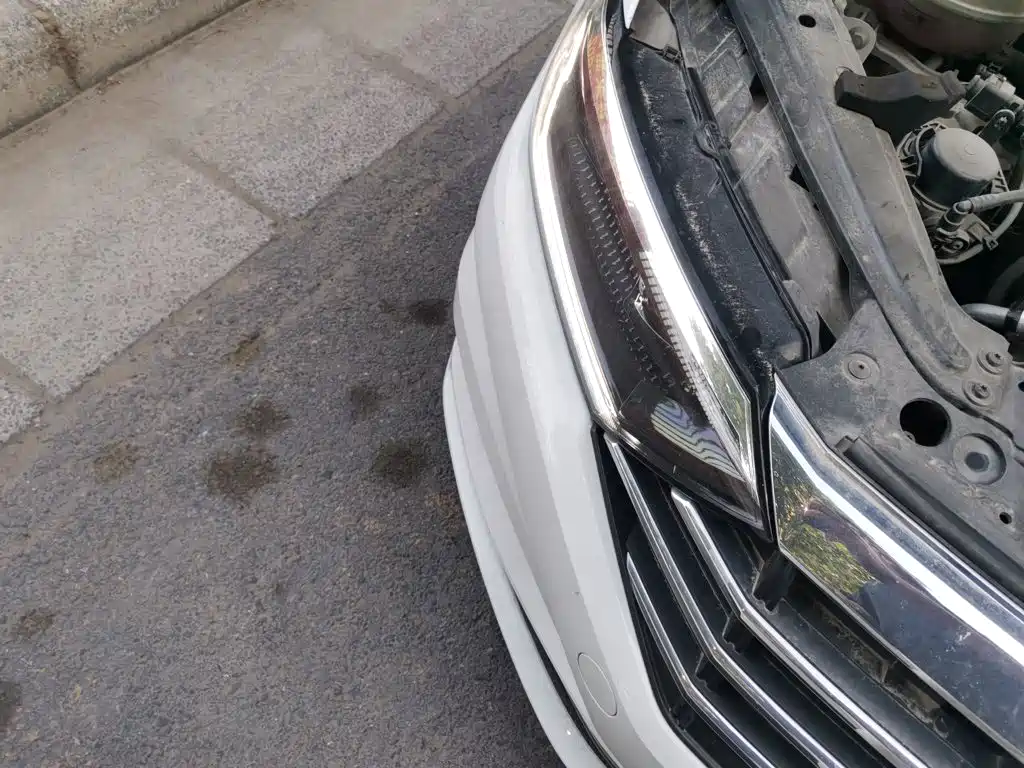 Photo 7 - Volkswagen Sagitar