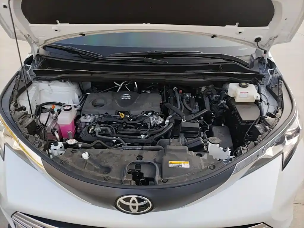Toyota Sienna 2025 2024 2.5L Hybrid Comfort Edition