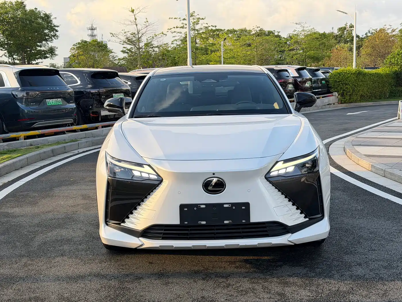 Lexus RZ 2023 450e 4WD Premium фото 2