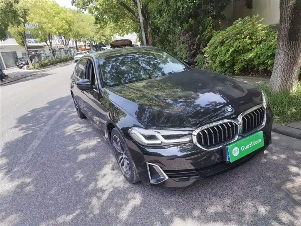 BMW 5 Series 2021 530Li Leading Luxury Package фото 4