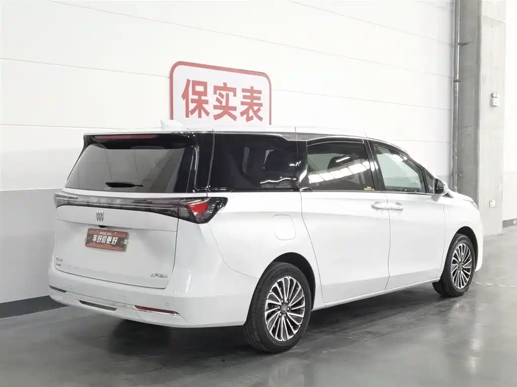 BUICK GL8 NEW ENERGY