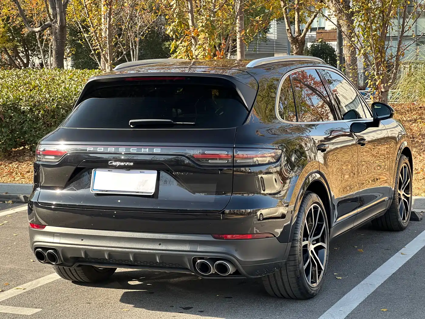 Porsche Cayenne 2022 Cayenne 3.0T Platinum Edition фото 6