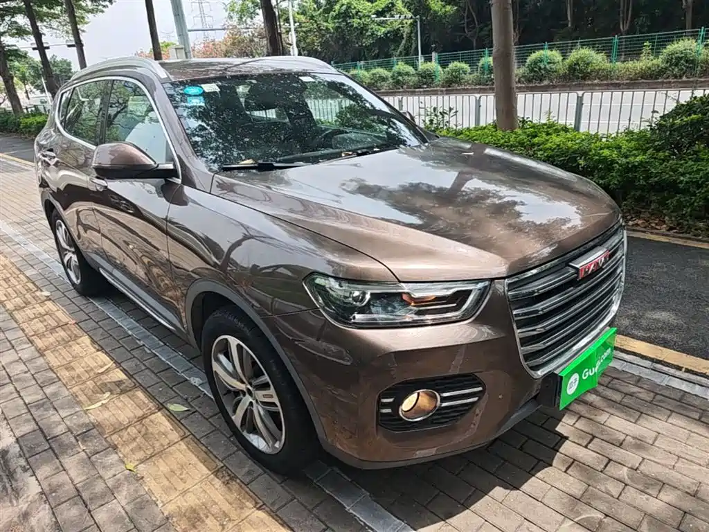 Haval H6 2017 Red Label 2.0T Automatic 2WD Premium фото 4