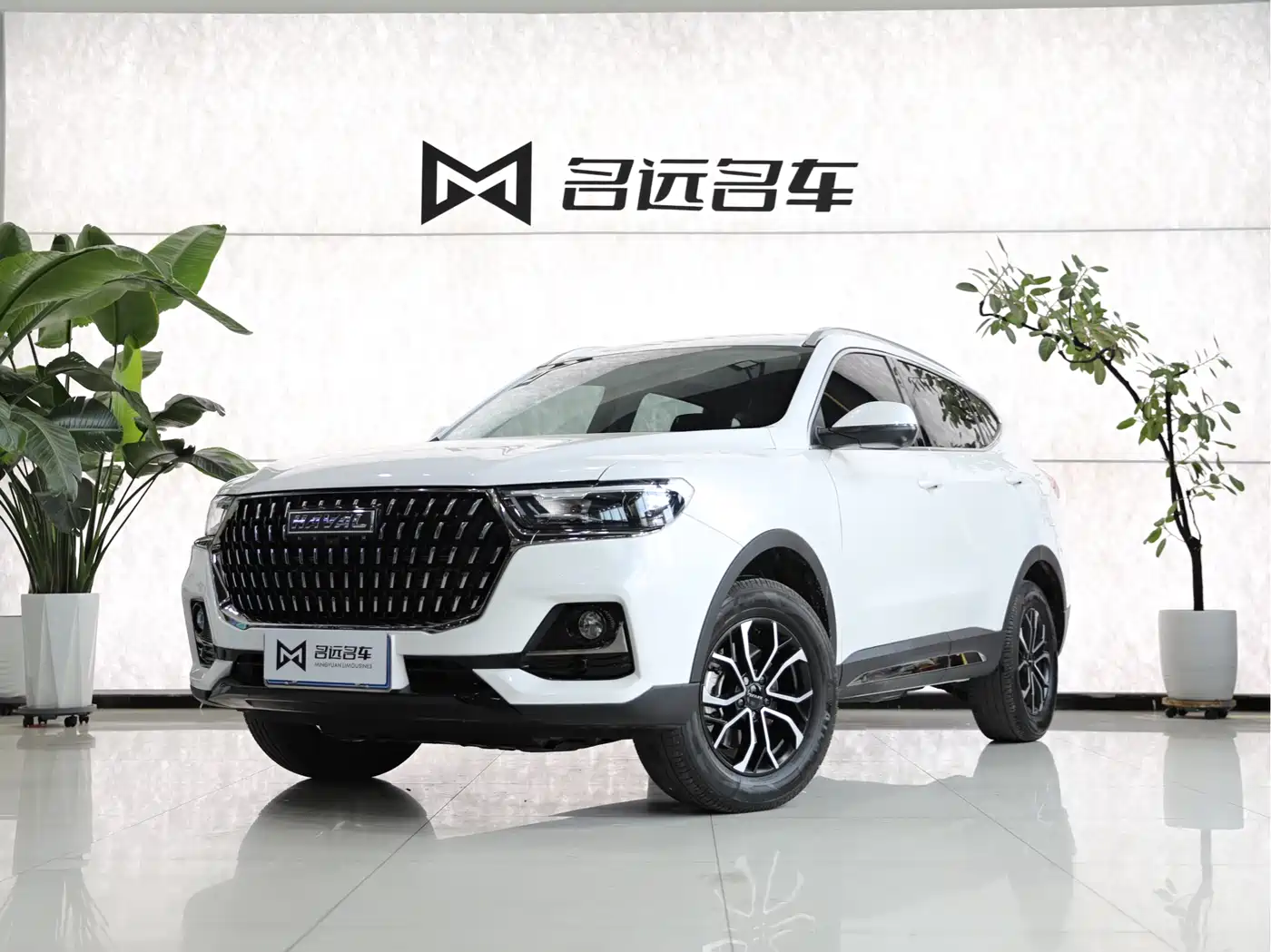 Haval H6 2023 National Trend Edition 1.5T Automatic Urban