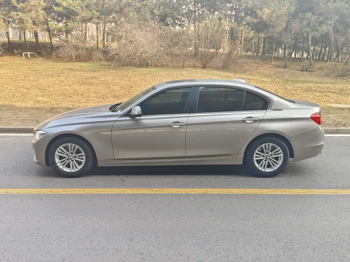 BMW 3 Series 2015 320Li Super Joy Fashion фото 2