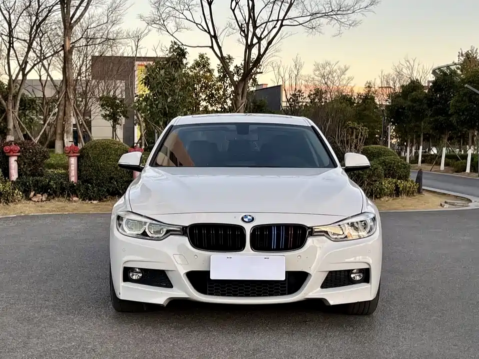 BMW 3 Series 2019 320Li M Sport Package фото 2