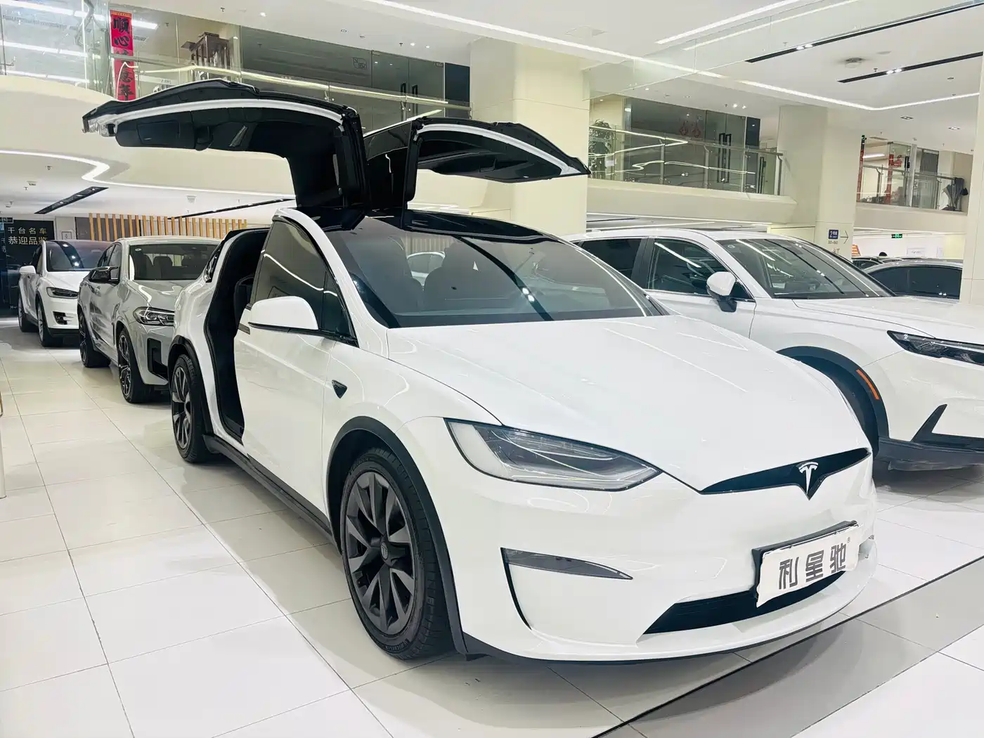 Tesla Model X 2023 Dual Motor All-Wheel Drive Edition фото 3