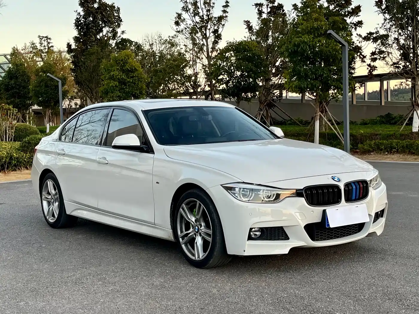 BMW 3 Series 2019 320Li M Sport Package фото 3