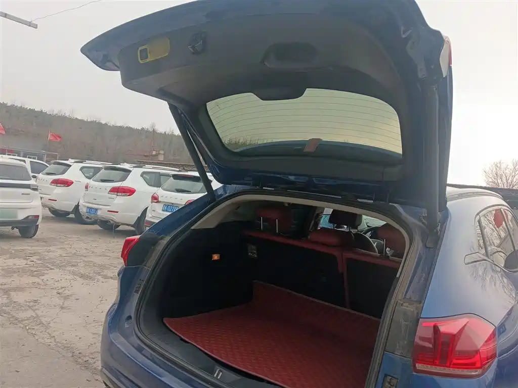 WEY VV5 2017 2017 2.0T Super Luxury Model