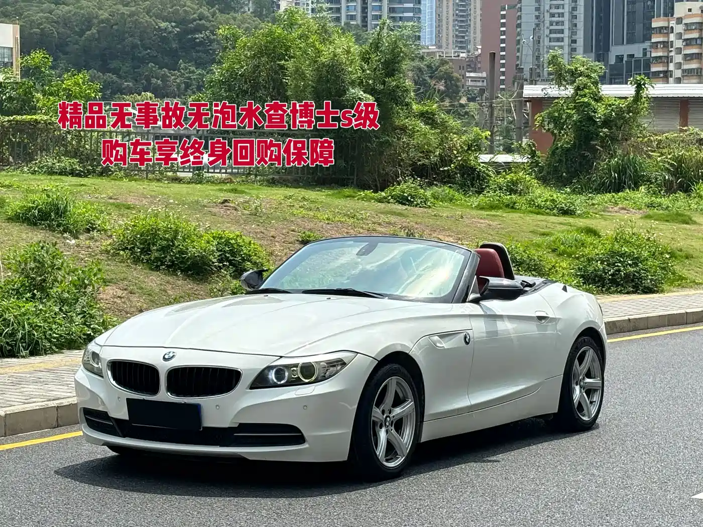 BMW Z4 2012 sDrive20i Leading
