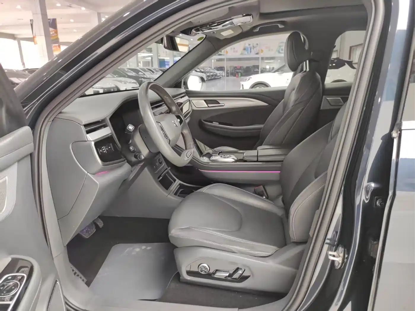 ARCFOX EXTREME FOX POLAR FOX ALPHA T