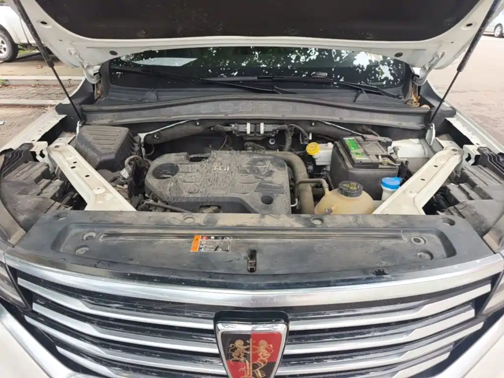 Roewe RX5 MAX 2021 2019 300TGI Automatic 4G Connected Luxury Edition