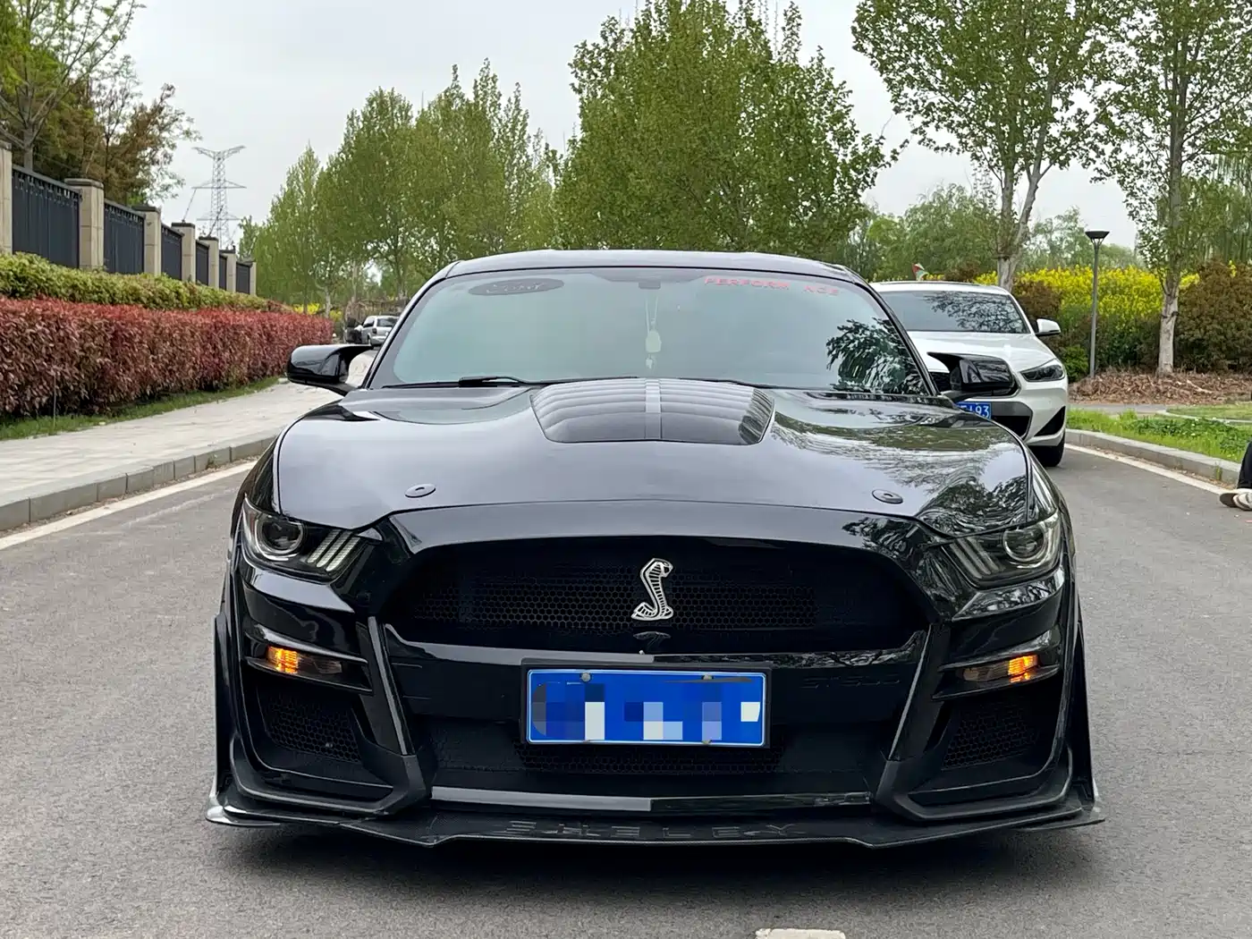 Ford Mustang 2015 2.3T Performance Edition фото 2