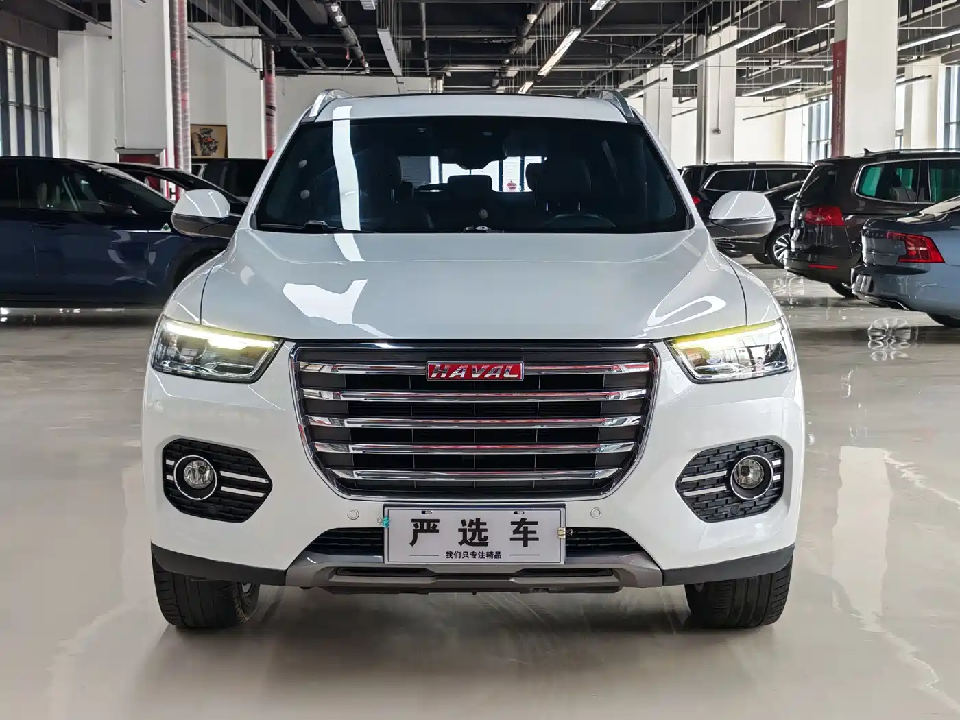 Haval H6 2017 Red Label 2.0T Auto 2WD Smart фото 2