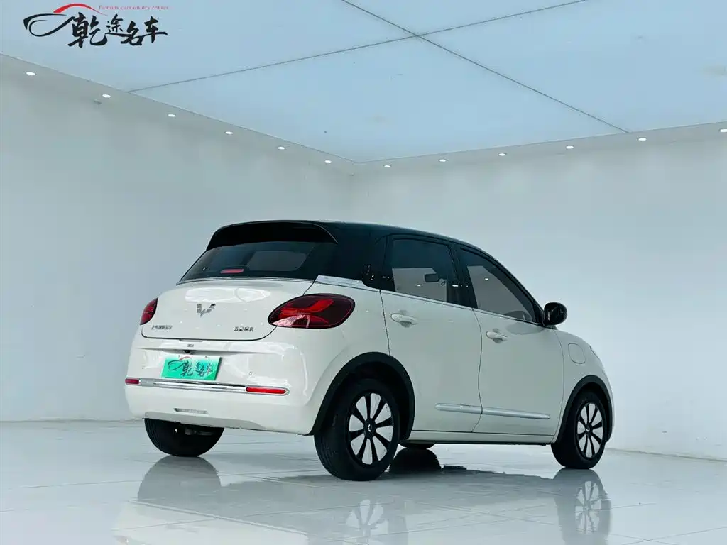  Wuling Motors Wuling Bingo 2023 Model 333km Joy+ Version 7