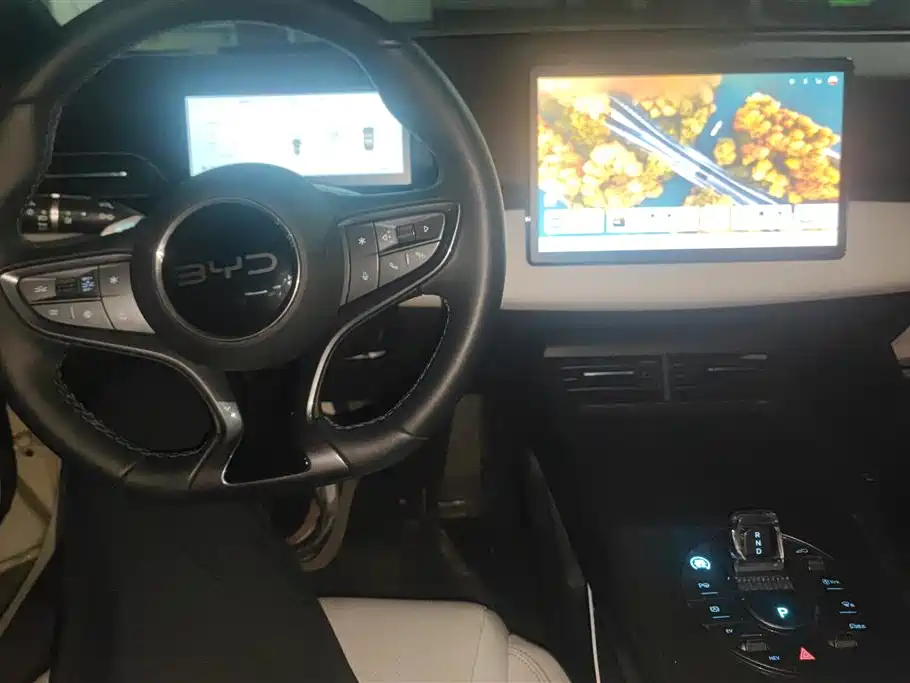 BYD Seal 06 New Energy 2025 DM-i Smart Drive 80KM Luxury фото 12