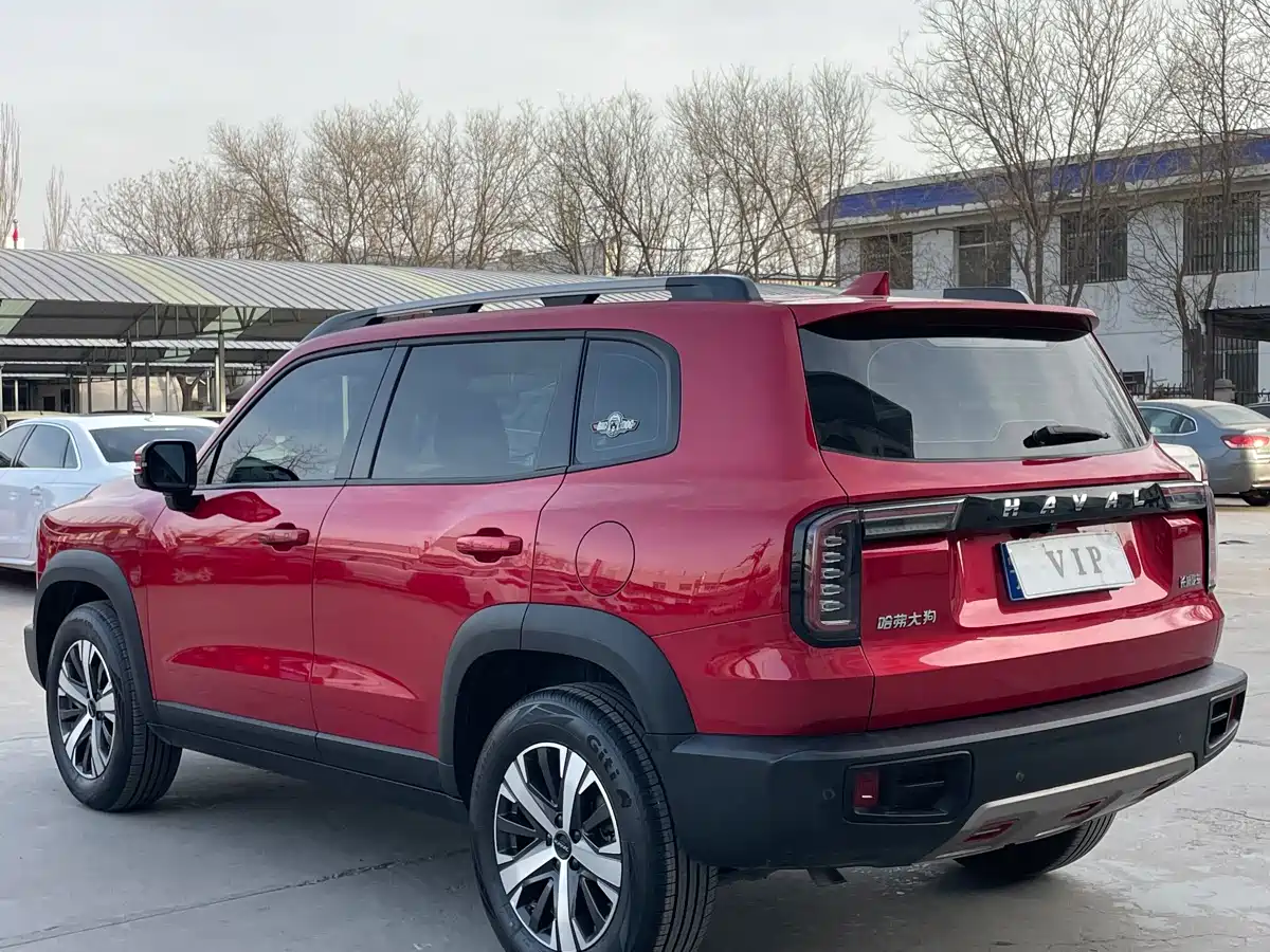 Фото 6 - Haval Dargo