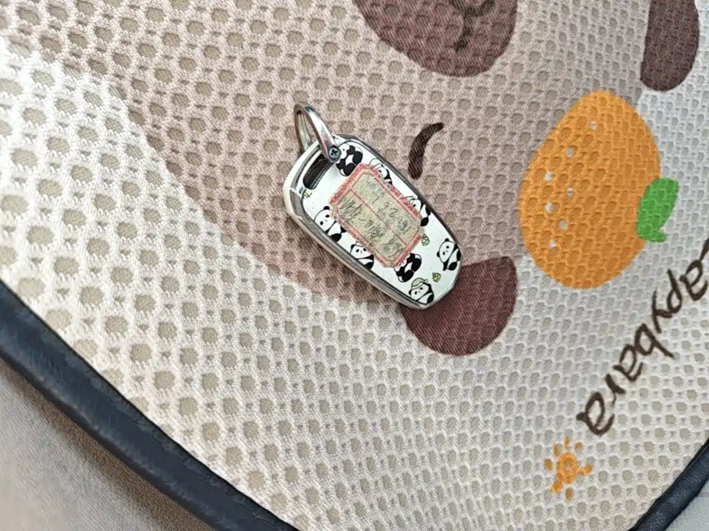 Geely Galaxy Panda 2025 2025 Panda mini 210km Vitality Bear