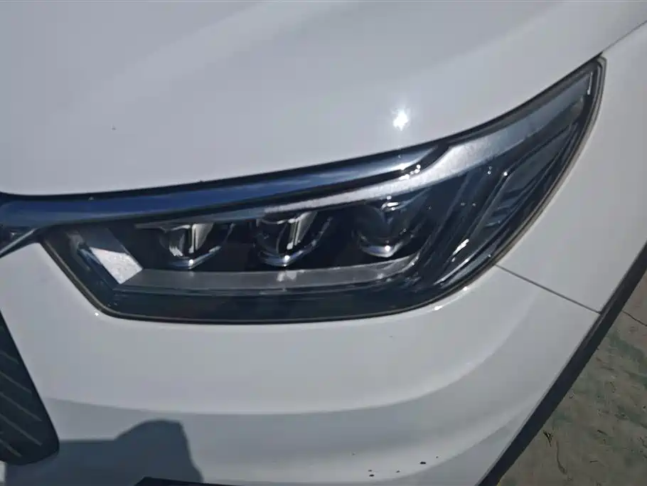 BYD Yuan New Energy 2019 EV535 Smart Connection Leading Type фото 5