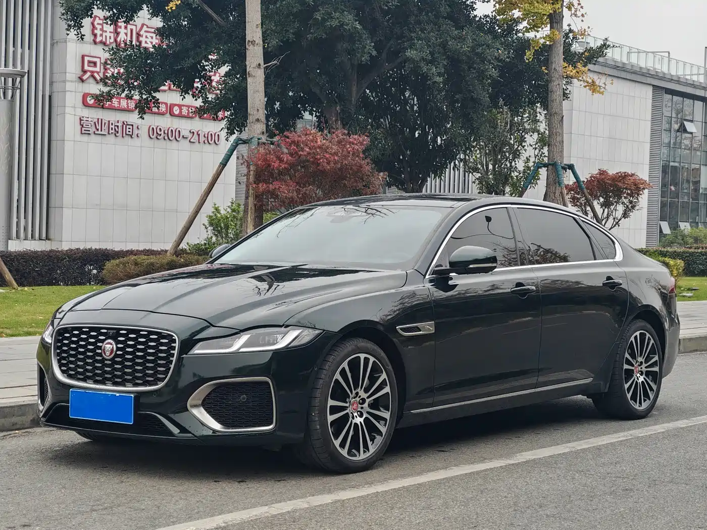 Jaguar XFL 2025 2024 2.0T P250 2WD Premium Luxury